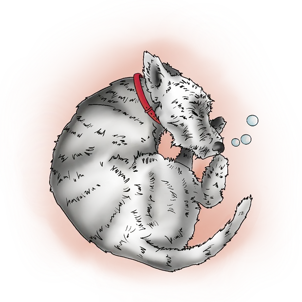 dog-illustration-1