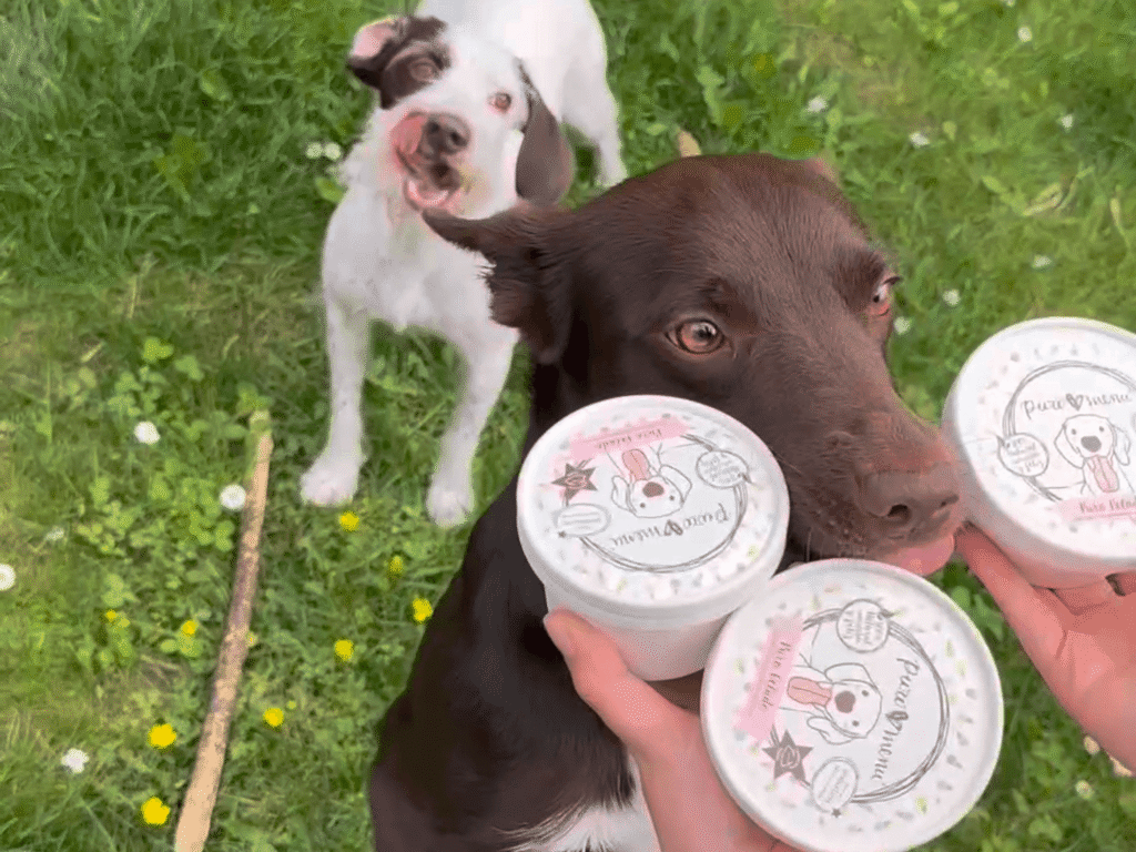 Glücklicher Hund mit Puromenu-Eis: Echte Ernährung für Hunde und Katzen