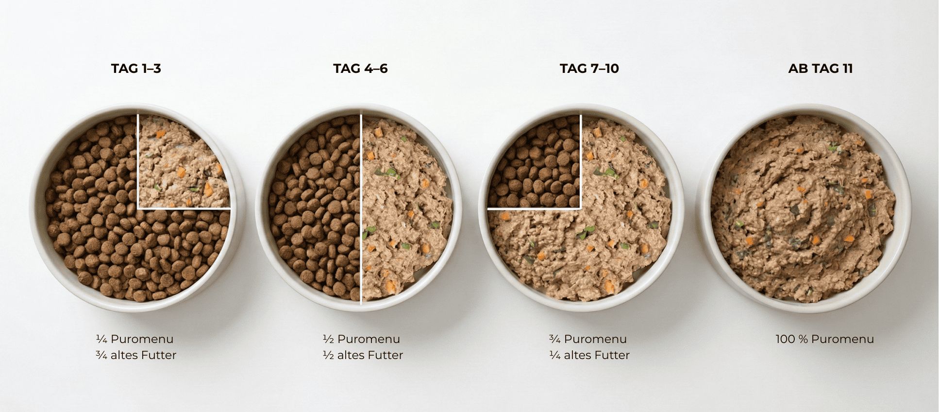 Futterumstellung beim Hund in 4 Schritten: Puromenu-Anteil langsam erhöhen, bis dein Hund bei 100 % angekommen ist.