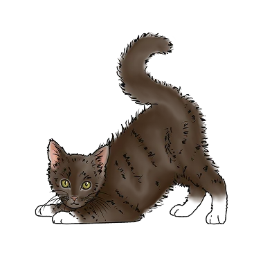 Illustration eines Katzenbabys, das sich streckt