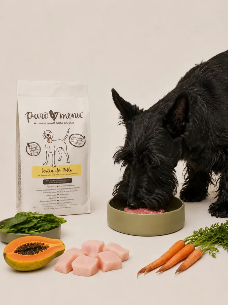 Hund frisst BARF von puromenu aus dem Napf, daneben die Produktverpackung und frische Zutaten.