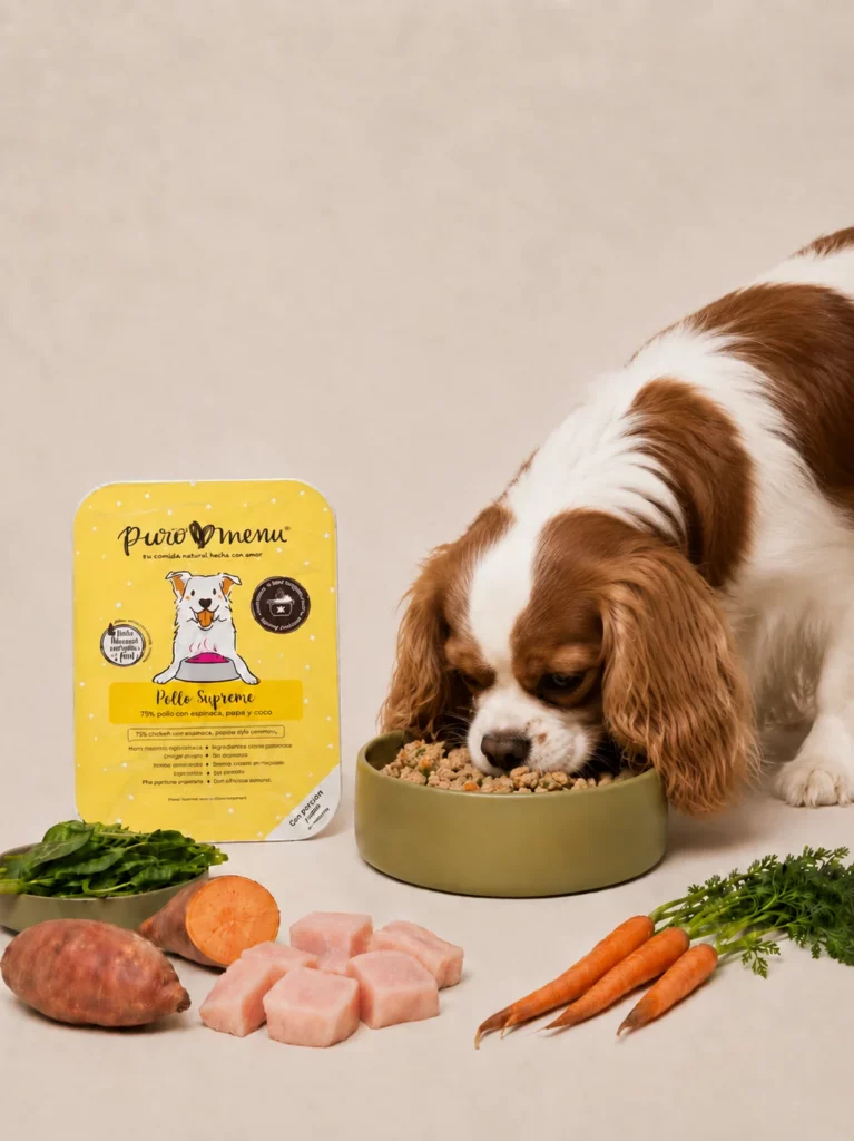 Hund frisst gedämpftes puromenu Hundefutter, in der Schweiz erhältlich bei emPAWer, mit Verpackung und frischen Zutaten.